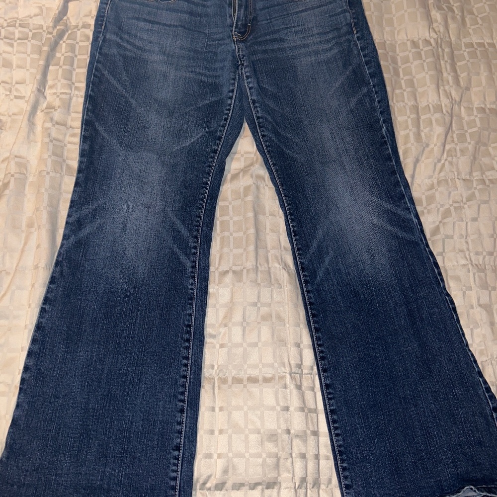 American Eagle Sz 12 Short Bootcut Stretch